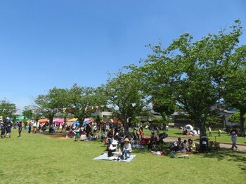 【千葉県袖ケ浦市】「第33回 百目木公園まつり」5月9日開催します