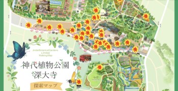 「神代植物公園＆深大寺公式探索マップ」紅葉の装いに