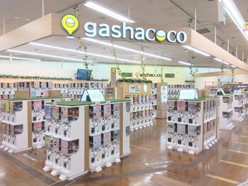 カプセルトイ専門店『gashacoco（ガシャココ）』のフランチャイズ店舗３０号店『gashacoco 平安堂若槻』を11月27日(木)オープン！