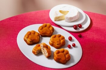 果実の心地よい酸味と芳醇なチーズが織りなす、豊かな味わい。例年人気の『フィナンシェクランベリー』が10月1日（木）から【ネコシェフ】 より期間限定で再登場！