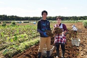 【川越プリンスホテル】地元農園でさつまいも掘り体験ができる秋限定宿泊プラン川越の“いも文化”を味わい尽くす「小江戸秋旅」を販売