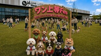 【室内開催で夏も安心】小型犬大集合「ワン上等Fes in WHATAWON」｜愛犬との交流・撮影会・ゲーム大会を実施