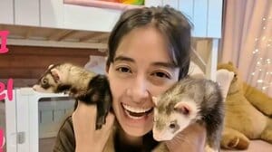 森泉 豪華自宅“アップデート”にペットのフェレットも大興奮！可愛すぎる光景に「泉さんが飼い主さんで幸せだろうなあ！」の声