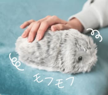 【小学5年生～中学3年生の女子対象】AIペットロボットと未来のくらし＆デジタルペットをプログラミング体験　ワークショップ参加者募集