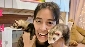 森泉 豪華自宅“アップデート”にペットのフェレットも大興奮！可愛すぎる光景に「泉さんが飼い主さんで幸せだろうなあ！」の声