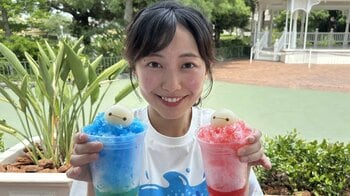 ディズニー ミッキーがモチーフのアイスなど夏のひんやりメニューを実食 SNS映え間違いなし！ベイマックスの光るグッズなども登場
