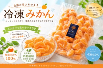 今年の夏は冷凍みかんで健康的に乗り越える！日本屈指のブランド柑橘「有田みかん」を冷凍して食卓へ。