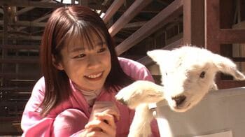 春休みSNSの話題アニマルに会える！ 1万超“いいね”サモエドわんこ＆今だけ！羊赤ちゃんと鈴木唯アナが写真撮影 
