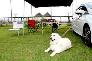 【2025年秋】関西屈指のビーチ×夕焼けを望む、絶景キャンプ「二色の浜オートキャンプ場」＆「手ぶらBBQエリア」がリニューアル！