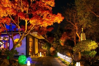 【光の庭園ディナー】日本庭園が光に包まれる冬季イルミネーション開催。『オーベルジュ・ド・マノワール吉庭』（千葉・佐原）にて、極上フレンチと共に楽しむ特別な夜を
