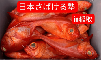 キンメ漁発祥の地で金目鯛を捌いて稲取名産『金目鯛の味噌漬け』を作ろう！『日本さばける塾 in 稲取』を開催！