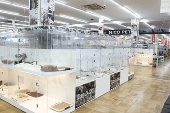 P’s-first春日部店オープンのお知らせ