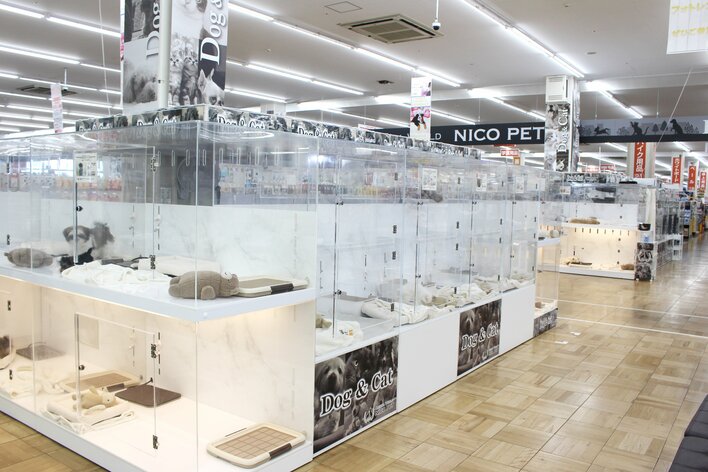 P’s-first春日部店オープンのお知らせ