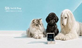 ペットメモリアル、「元気なうち」に考えたい飼い主が最多31.6%。「お別れしたあと」22.8％を上回る