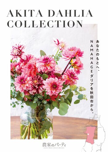 秋田市産ダリア×日比谷花壇タイアップキャンペーンフェア「ＡＫＩＴＡ　ＤＡＨＬＩＡ　ＣＯＬＬＥＣＴＩＯＮ」を2025年も開催いたします！