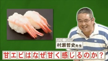 『ネプリーグ』で放送の＜豆知識＞「甘エビ」を甘く感じる理由とは？