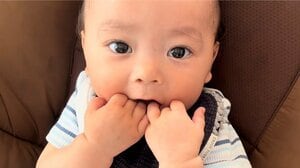 「切り替えが速い」大好きなミルクを目の前にした1歳男の子 瞬時におしゃぶりをポイッ！迷いのない姿に「いい投げっぷり」「可愛いの天才」【激かわキッズ奇跡の瞬間】