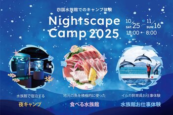 四国水族館でのキャンプ体験！夜の水族館『Nightscape Camp2025』を開催