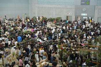 開催迫る｜前回約5,000人を動員した植物イベント「Collect Plants」第2回、熊本で5/9-10開催