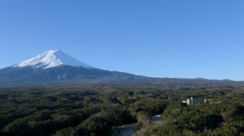 【ヒルナンデス！紹介】富士箱根伊豆国立公園の広大な森で「心身をリカバリー」。最新スイートルームがフジプレミアムリゾートに誕生。
