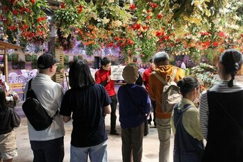 【JAF島根】幻想的な夜の園内で花と鳥を観察しながらクイズに挑戦！JAFデーin松江フォーゲルパーク「謎解きナイトツアー」を開催