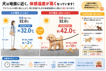 酷暑・猛暑で増える犬の熱中症。製造現場を中心に累計6万枚販売の熱中症対策シールを犬にも