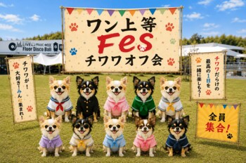 【チワワが主役の1日】大阪・WHATAWONで「ワン上等Fes チワワオフ会」開催