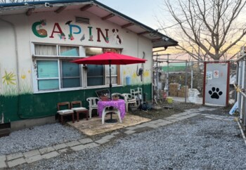 茨城県の犬猫殺処分ゼロを支える拠点が危機