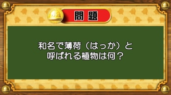 【おめざめ脳トレ】和名で「薄荷（はっか）」と呼ばれる植物は何？【『クイズ！脳ベルSHOW』より】