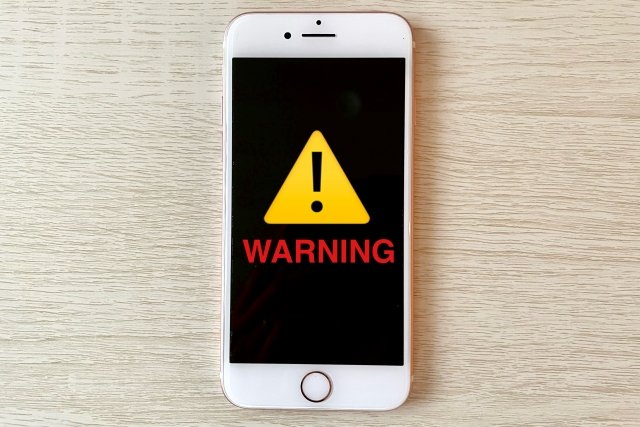 【写真】この記事の解説画像を見る