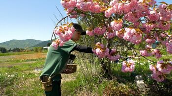 未来を見据えた庭造り ガーデナー・青木真理子の“7つのルール”