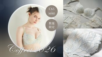 下着のクリスマスギフトに、光をまとうバストケアを。人気の「シン・胸不二子ブラ」が幻想的なオーロラ柄で登場。数量限定コフレ「2026年ホリデーコフレ-Luminous-」予約受付開始。