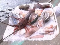 この秋冬に旅行するならここ！グルメ旅YouTuber激推し「海女小屋」身が“ぶりんぶりん”捕れたて海鮮を豪快に『ウラマヨ！』