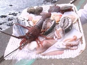 この秋冬に旅行するならここ！グルメ旅YouTuber激推し「海女小屋」身が“ぶりんぶりん”捕れたて海鮮を豪快に『ウラマヨ！』