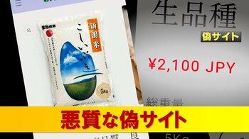 【悪質】「強く憤り」JAの“偽サイト”に注意！銘柄米が“異様”な安さで販売　80代男性「JAマークがあったから信じた」