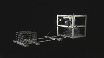 大人気シリーズ『爆笑問題の深海WANTED６』で、深海最深部の“主”の巨大生物が姿を現す！