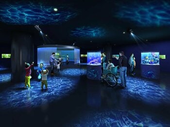 プロモツール、広島もとまち水族館の香り演出を担当