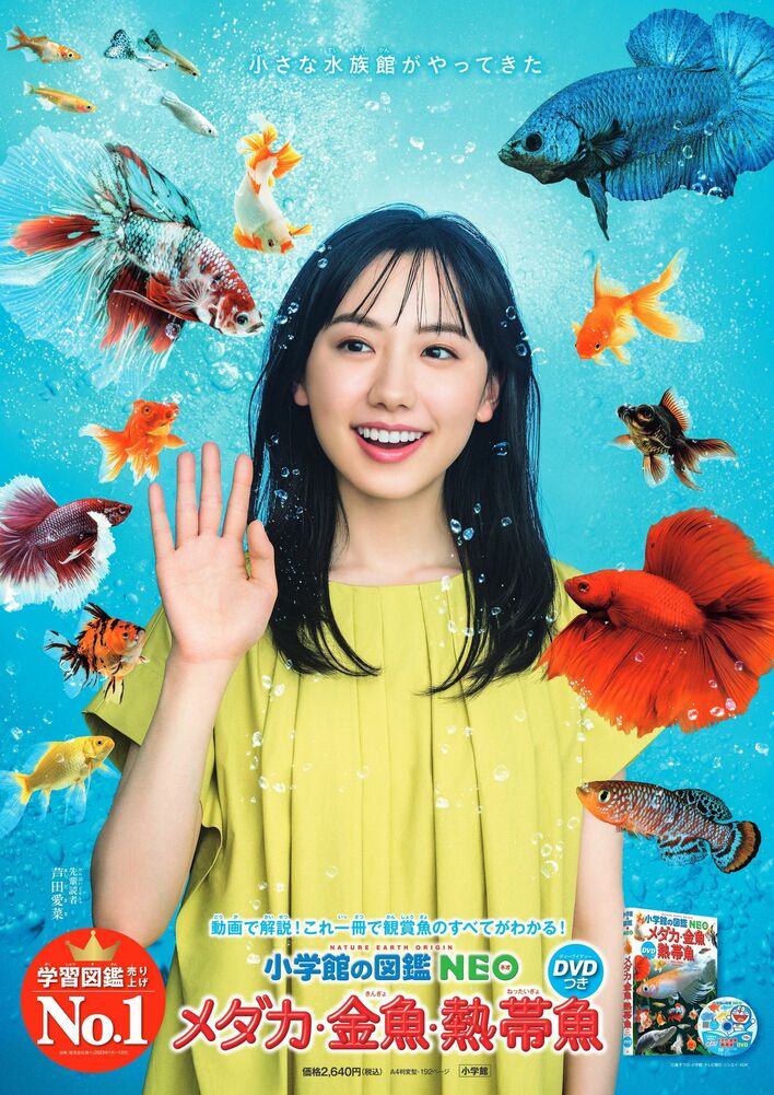芦田愛菜 もうすぐ20歳！魚図鑑のポスターで大人っぽい新ビジュアル披露！“メダカ目線”の新CMも公開 
