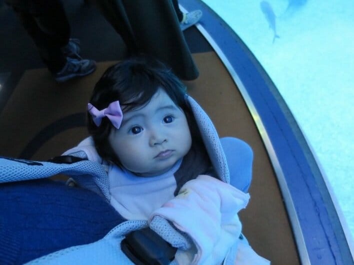 【画像5枚】「遺伝子が強すぎるんだ」泉谷星奈(8) 生後5ヵ月のくりくりおめめの姿が可愛すぎると話題になった比較ショットを見る